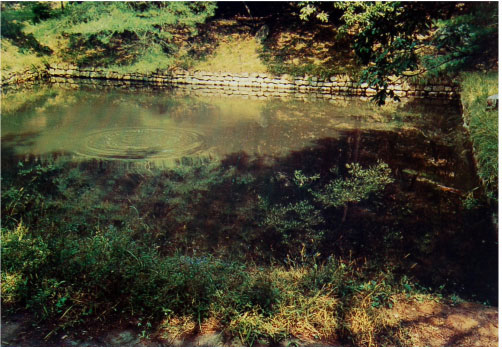 Panoramic view of Kuryong Pond in Taesongsan Fort Panoramic view of Kuryong Pond in Taesongsan Fort