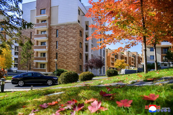 보통강강안다락식주택구-경루동