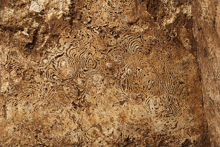 고구려무덤의 벽면