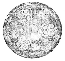 중국 전국시대 사냥무늬거울