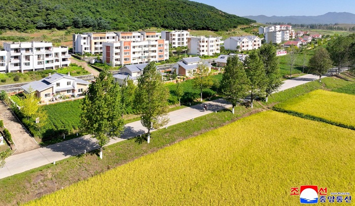 위대한 국가의 발전상