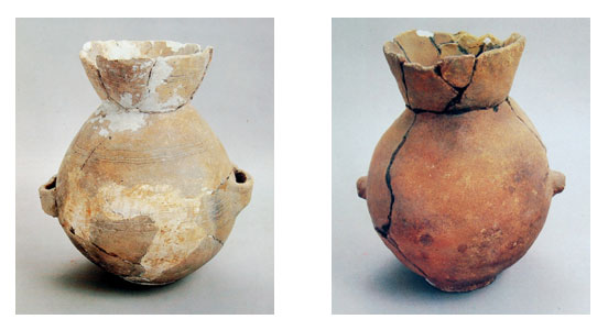 1류형 조롱박형단지