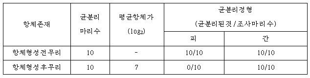 자연감염된 병아리에서 항체형성전과 항체형성후 균분리정형