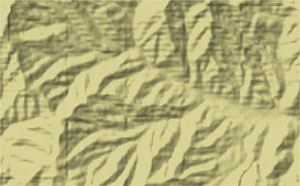 DEM을 려파처리하지 않고 작성한 지형음영도