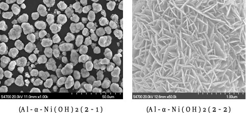 Al-α-Ni(OH)2의 SEM사진