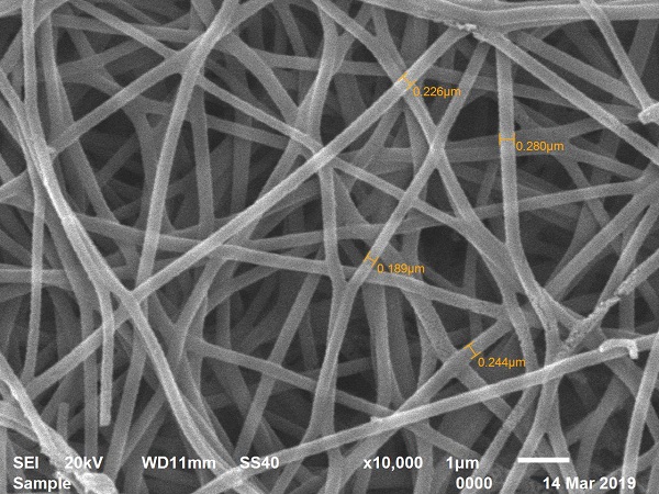  탄소나노섬유의 주사전자현미경(SEM)사진