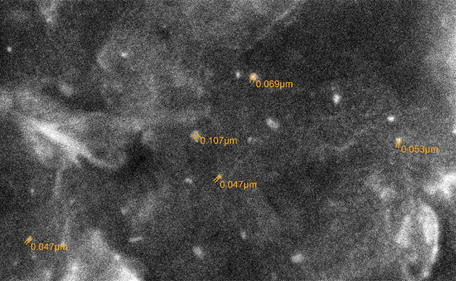 용액연소법으로 합성된 CuO분말의 SEM사진