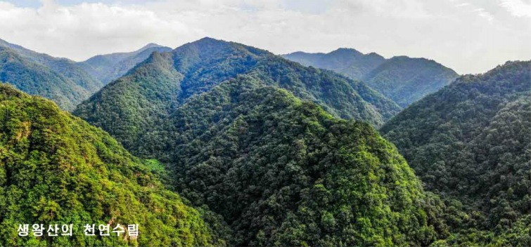 신평금강 신평금강