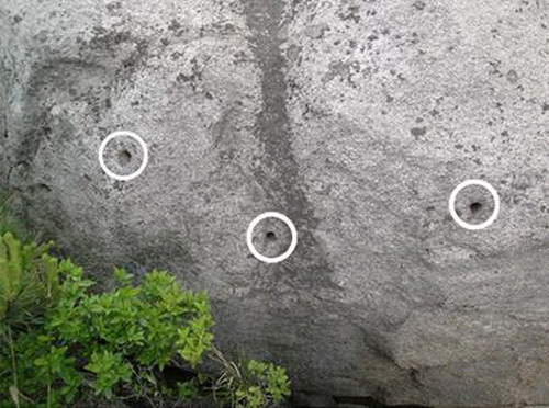  打在开城市天林山岩石上的铁桩位置