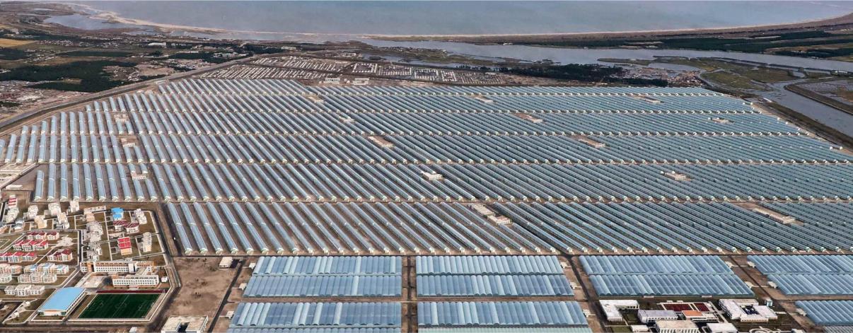 훌륭히 건설된 련포온실농장