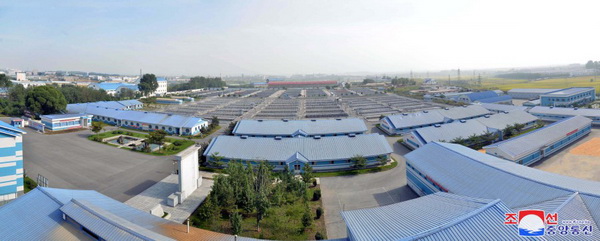 평양메기공장 전경