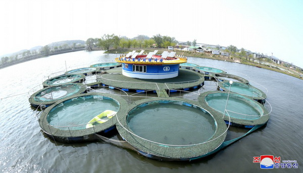 그물우리양어장