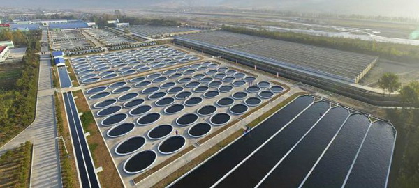 석막대서양련어종어장 전경