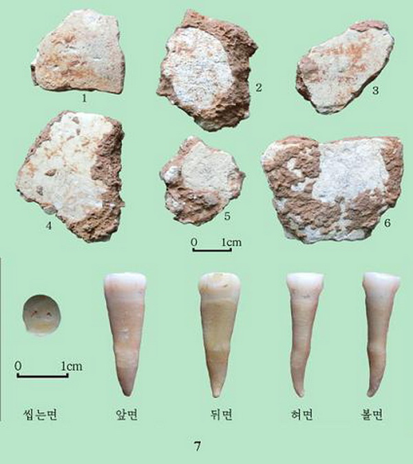 새로 발굴된 인류화석