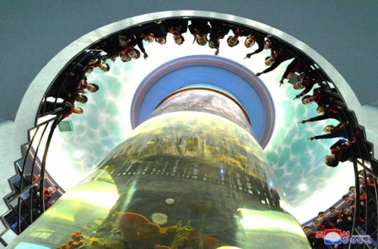 즐거운 야영생활