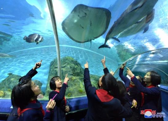 즐거운 야영생활