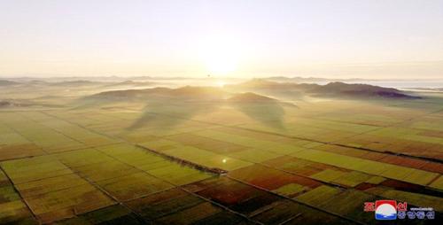 사회주의농촌벌