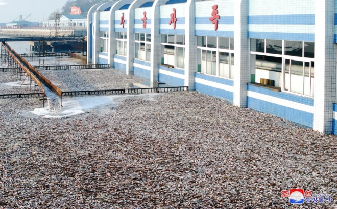 하륙장의 물고기폭포