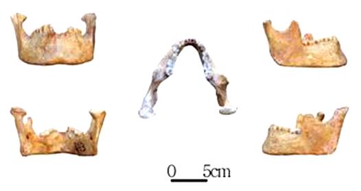 룡곡사람 6호아래턱뼈