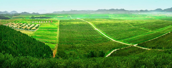 과일군의 백리청춘과원