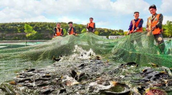 흐뭇한 양어풍경