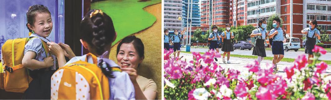 《소나무》책가방과 애국심