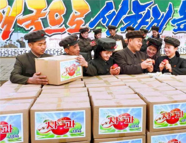 청년돌격대원들