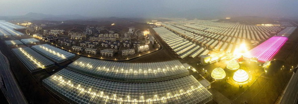 Kangdong Greenhouse Combined Farm
