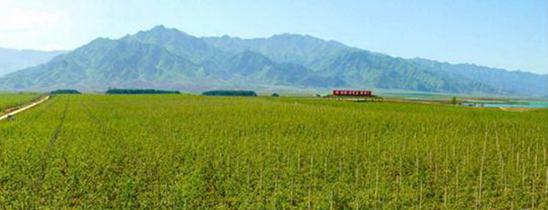 Kosan Integrated Fruit Farm