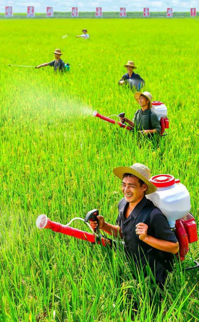 풍작을 안아올 일념으로