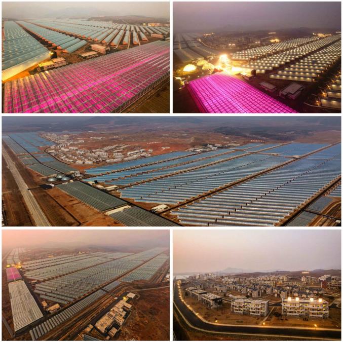 강동종합온실의 전경