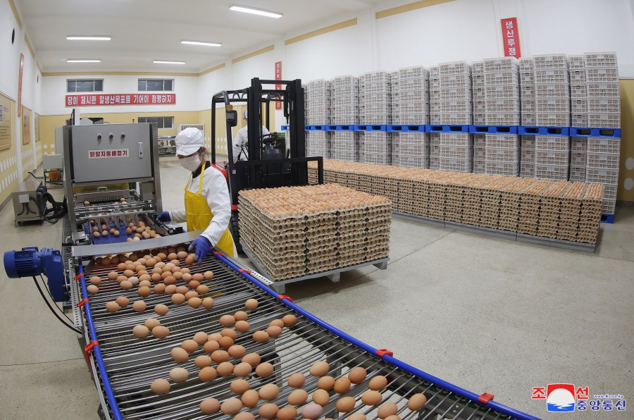 광천닭공장의 생산흐름