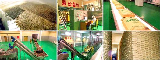 삼지연감자가루생산공장