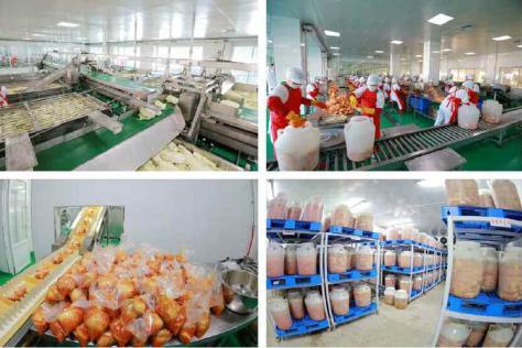 화성김치공장의 생산현장