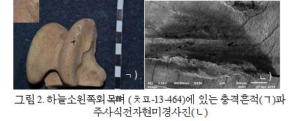 하늘소왼쪽회목뼈(ㅊㅍ-13-464)에 있는 충격흔적(ㄱ)와 주사식현미경사진(ㄴ)