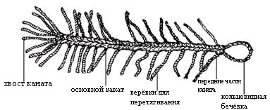 Разбивка каната
