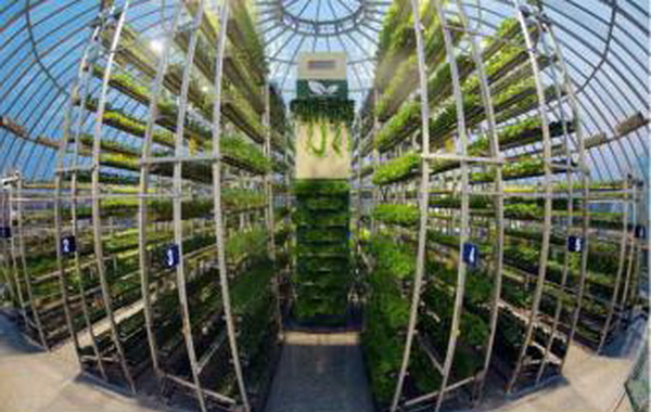 강동종합온실농장