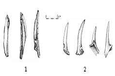 제6층의 골각기들(1-뚜지개, 2-찌르개)