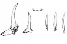 제7층의 골각기들(찌르개)