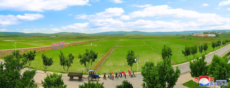 사회주의농촌전야의 정경