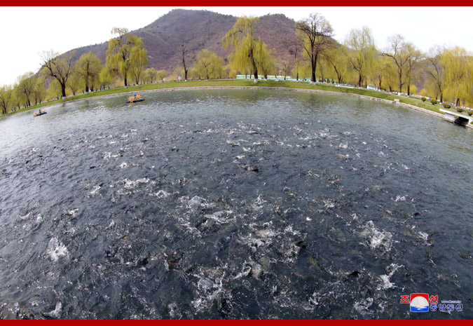 Supreme Leader Kim Jong Un Inspects Sinchang Fish Farm