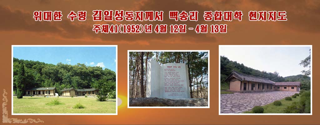 Spring in Paeksong-ri