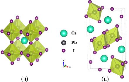 최적화된 단위포구조
