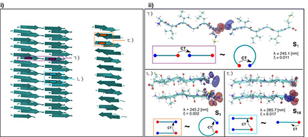 아밀로이드단백질섬유에서의 전하이동 아밀로이드단백질섬유에서의 전하이동