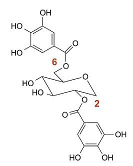 Chemical structure of ginnalin A