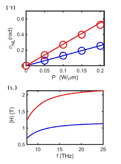플라즈몬유도역파라데이효과에 의한 3차비선형성과 주파수의존유효자기마당