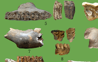 在东亚地区发现旧石器时代前期的遗迹