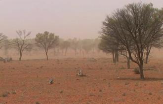 Comparison of LSTM Network, Neural Network and Support Vector Regression Coupled with Wavelet Decomposition for SPI Forecasting in the Western Area of the DPRK