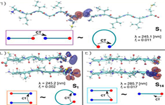 Amyloid Aggregates and their Optical Properties
