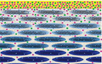 피부의 각질층에서 생체내방법으로 물농도곡선을 결정하기 위한 tMCR-ALS방법